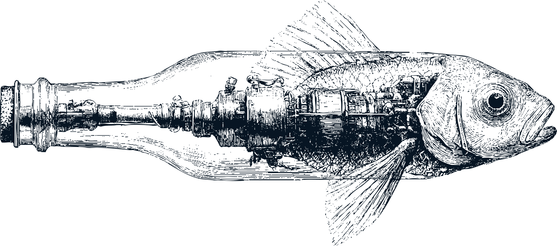 Ink drawing of a fish emerging from a bottle